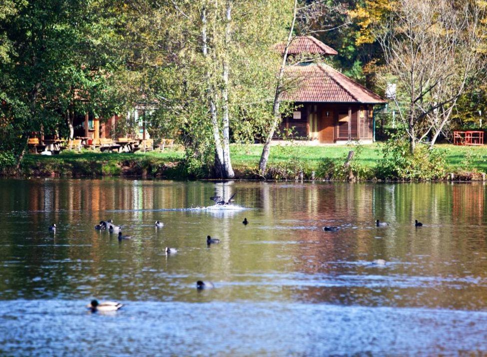 Seen- Und Felsenland Ludwigswinkel Екстер'єр фото